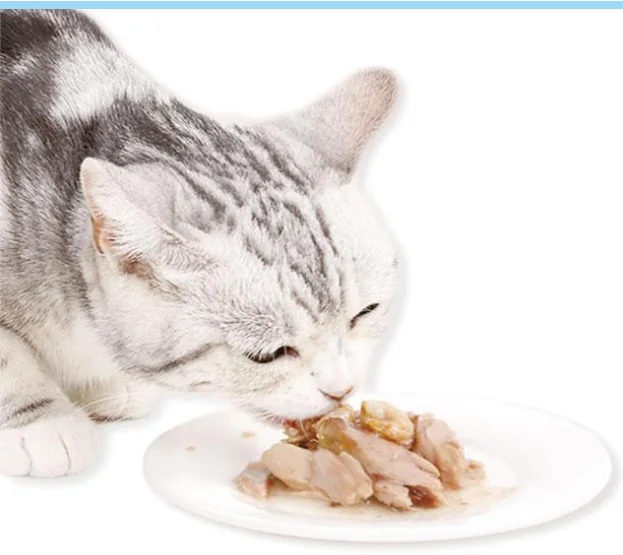 Pet Food Packaging Bags main product view